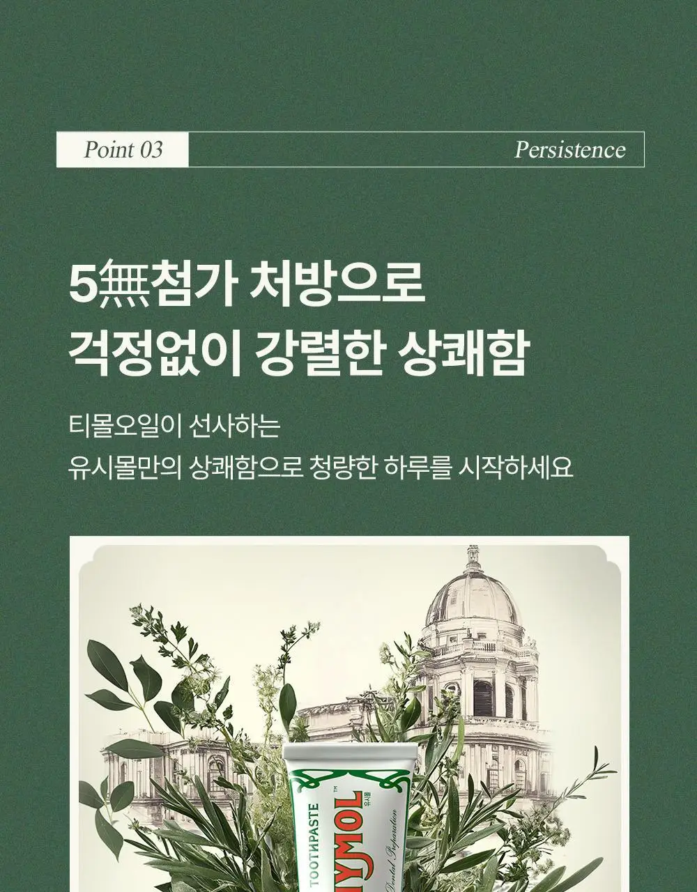 [포켓몬 에디션][5월 올영픽] 유시몰 오리지널 치약 106g 기획(+20g 증정)(+푸린 뷰티타월) 상세페이지 22